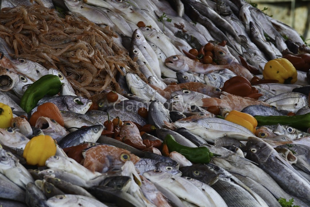 Fresh Seafood