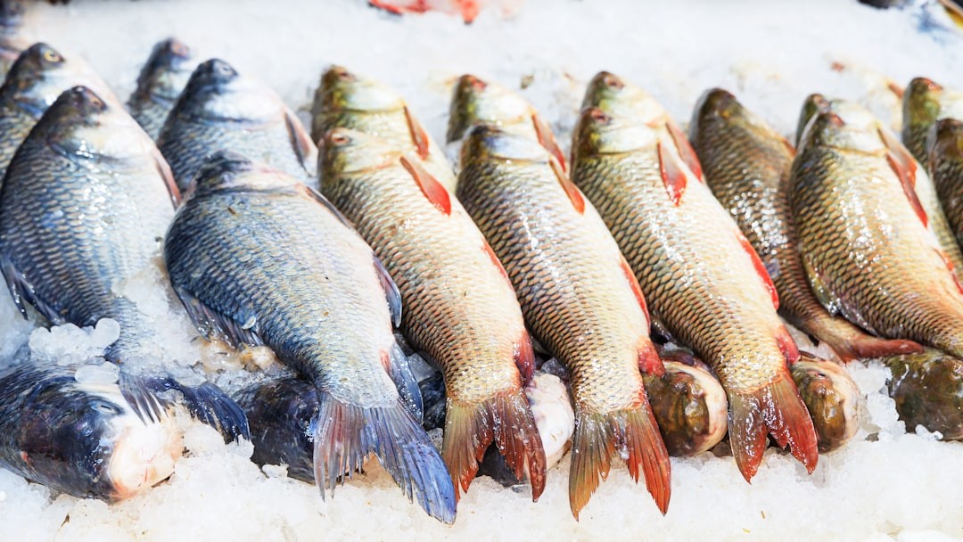 Seafood Market